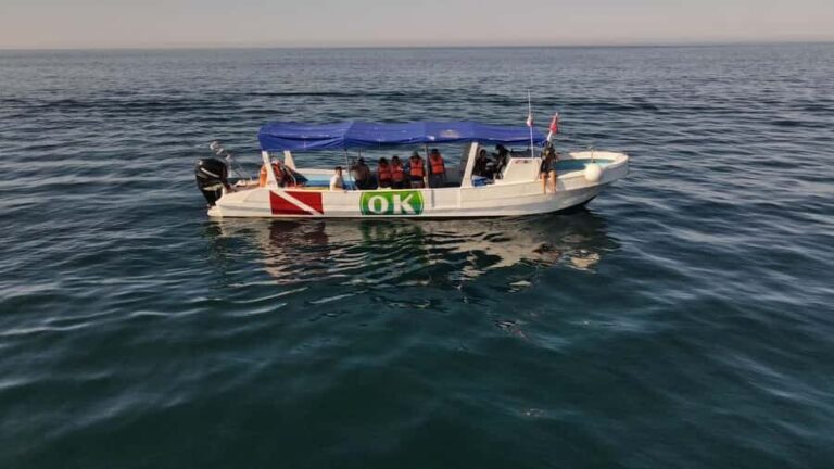 Zihuatanejo Ixtapa Humpback Whale Watching - The Itinerary in Detail