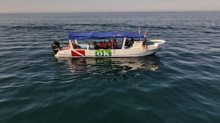 Zihuatanejo Ixtapa Humpback Whale Watching - The Itinerary in Detail