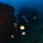 Zihuatanejo: Moonlit Dive at Las Gatas - Detailed Breakdown of the Tour