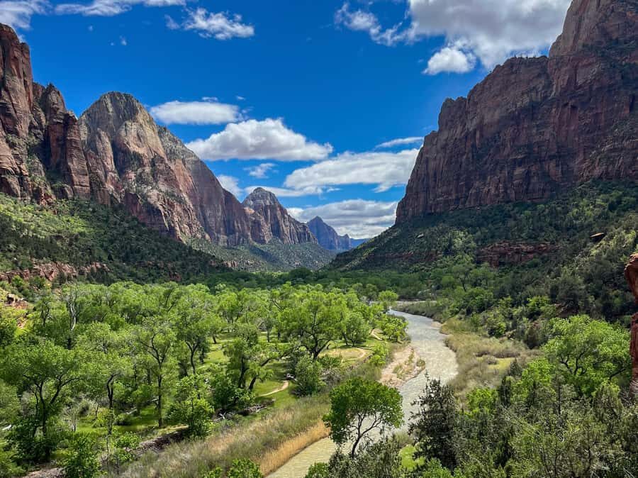 Zion National Park: Half-Day Hiking Tour with Guide - The Value of a Guided Half-Day Tour