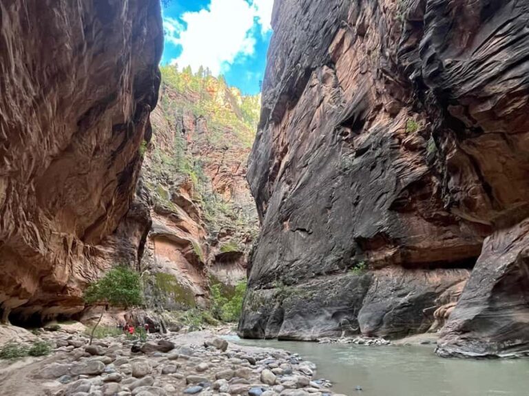Zion National Park: The Narrows Private Guided Hike - What Makes This Tour Stand Out?