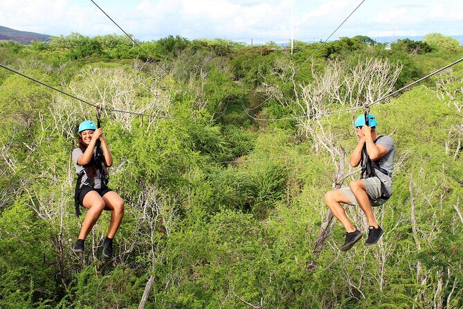 Zip and Dip: 3 Ziplines and Wet n Wild Waterpark - The Value Question