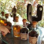 Zip Line Canopy Jungle Adventure from Puerto Vallarta - The Sum Up