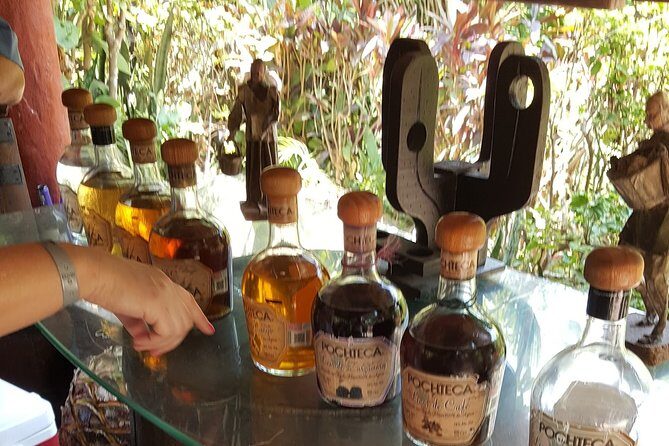 Zip Line Canopy Jungle Adventure from Puerto Vallarta - The Sum Up