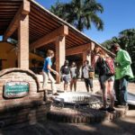 Ziplines and mezcal tasting - Who Is This Tour Best For?