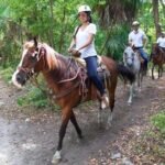 Ziplining and Horseback Riding Experience from Cancun and Playa del Carmen - Transportation and Logistics