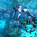 1/2 day Tahaa coral garden - departure Raiatea / ideal for cruise passengers - Who Should Consider This Tour?