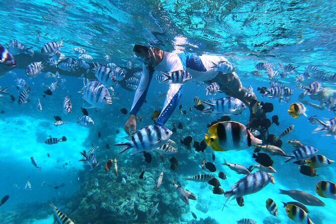 1/2 day Tahaa coral garden - departure Raiatea / ideal for cruise passengers - Who Should Consider This Tour?
