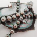 1/2 day "Treasures of Raiatea" by boat - ideal for cruise passengers - Practical Aspects of the Tour