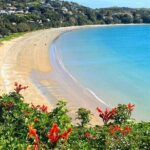 1.5h Waiheke Guided Scenic Tour in our Electric Van - The Review of the Guides and Experience