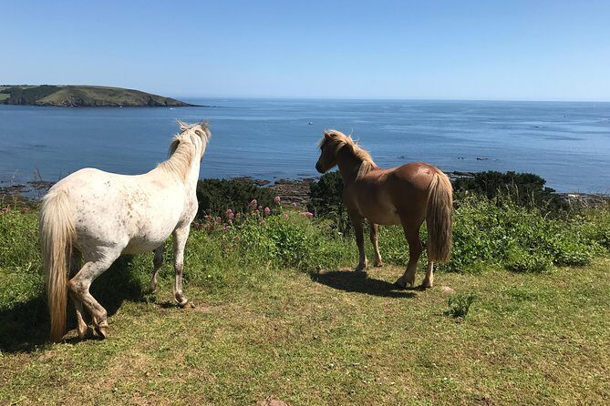 1 Day Exclusively Private Tour Of Phillip Island & The Penguin Parade - A Full-Day Wildlife Escape from Melbourne