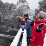1 Day Thredbo Snow Tour - Pricing and Value