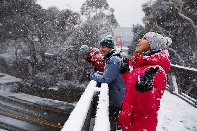 1 Day Thredbo Snow Tour - Pricing and Value