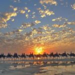 1 Hour Broome Sunset Camel Tour - Value and Practical Considerations