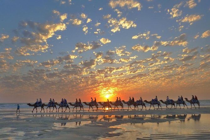 1 Hour Broome Sunset Camel Tour - Value and Practical Considerations