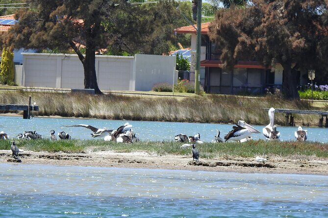 1 Hour Deluxe Scenic Dolphin Cruise - The Experience on Board: Comfort and Personal Touches