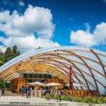 1-Hour Guided Tour of Aranui Cave Waitomo - The Itinerary: What to Expect