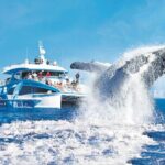 1 Hour Jet Ski Island Safari to South Stradbroke Island - Frequently Asked Questions