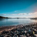 1 Hour Scenic Bay of Islands Tour - The Vibrant Heart of the Bay: Paihia