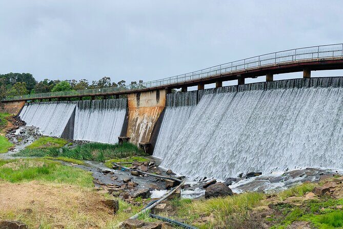 1 Hour Trike Tour for 2 in Mount and Lake Canobolas - Why This Tour Offers Great Value