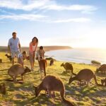 12 Apostles Great Ocean Road Tour From Melbourne - The Itinerary in Detail: What You Can Expect