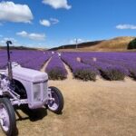 12 Day New Zealand Private Tour from Auckland to Queenstown - What We Loved About This Tour