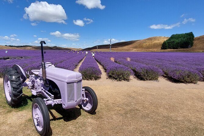 12 Day New Zealand Private Tour from Auckland to Queenstown - What We Loved About This Tour