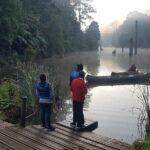 2 Day Great Ocean Road Tour and Platypus paddle - How Does the Cost Stack Up?