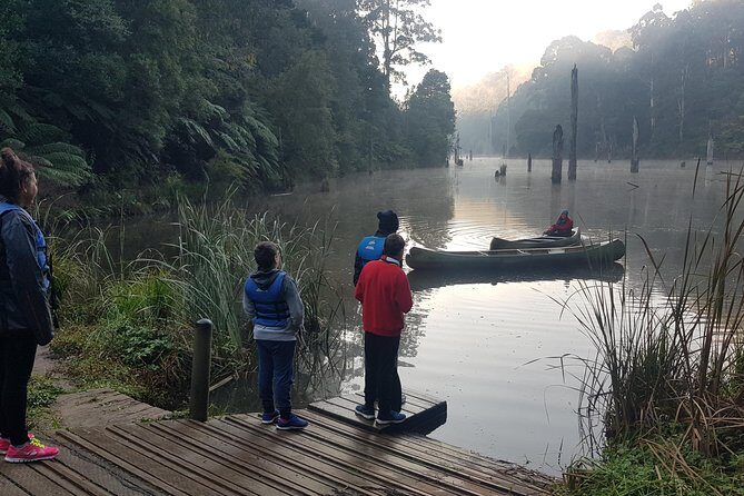 2 Day Great Ocean Road Tour and Platypus paddle - How Does the Cost Stack Up?