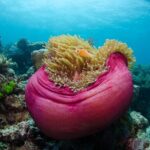 2-Day Snorkelling Experience - Great Barrier Reef Twin Share - How the Reviews Reflect the Experience