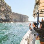 2-Hour Bondi Offshore Express Cruise - The Practicalities