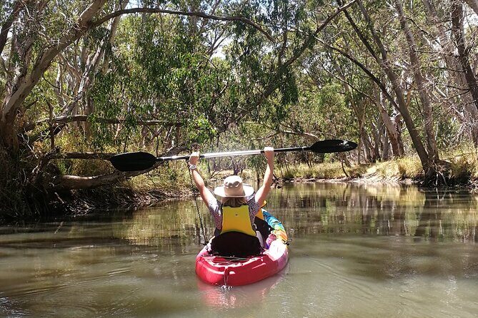 2-Hour Kayaking Experience in Barossa Valley - FAQs