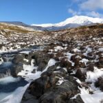 2 Hour Pre Sunset Guided Group Walk - The Value of the Tour