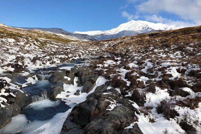 2 Hour Pre Sunset Guided Group Walk - The Value of the Tour