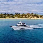 2 hour Seals & Seadragon Swim - Practical Details and Considerations