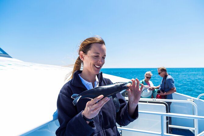 2 Hour Whale-Watching Cruise from Hillarys Boat Harbour - Who Will Love This Experience?