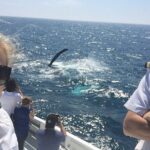 2 hour whale watching experience departing Hillarys Boat Harbour - What’s Not Included & Things to Consider