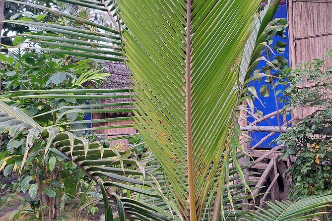 2 Nights Stay in Tanna including Accommodation, meals & transfers - What’s Included and What’s Not