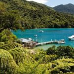 3.5 Hour Marlborough Sounds Delivery Cruise - The Practicalities: What to Expect
