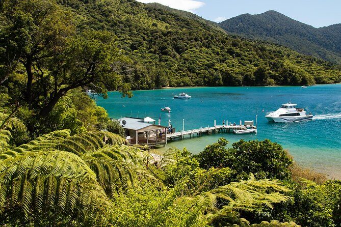 3.5 Hour Marlborough Sounds Delivery Cruise - The Practicalities: What to Expect