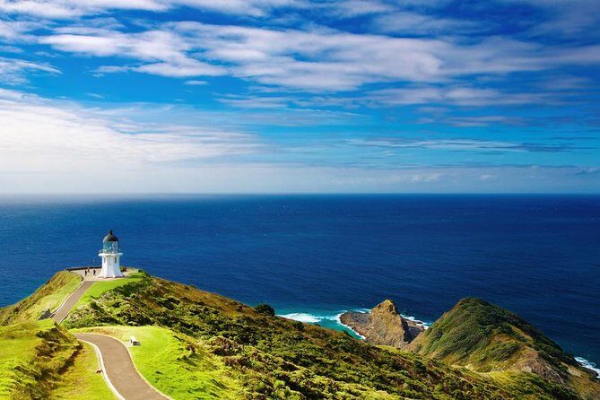 3-Day Bay of Islands Tour from Auckland - The Sum Up