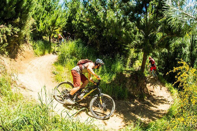 3 Day Shuttle MTB Weekend Adventure in Nelson - A Day-by-Day Breakdown of the Itinerary