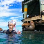 3 hour Dolphin and Seal Swim (NOV-APR) - Who Should Consider This Tour?