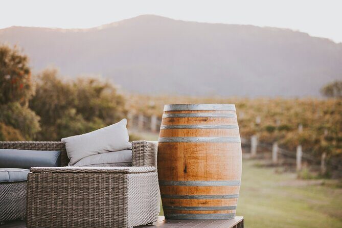 3-Hour Hunter Valley Scenic Helicopter Tour Including 3-Course Lunch from Cessnock - Who Will Love This Tour?