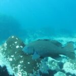 3-Hour Kayak and Snorkeling Experience in Batemans Bay - The Route Breakdown: Why It Matters