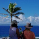 3-Hour Tongatapu East Coast and Anahulu Cave Tour - The Practical Side: Logistics, Value, and Tips