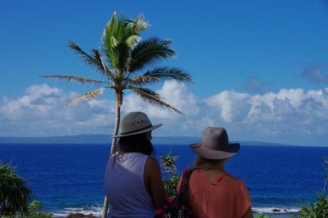 3-Hour Tongatapu East Coast and Anahulu Cave Tour - The Practical Side: Logistics, Value, and Tips