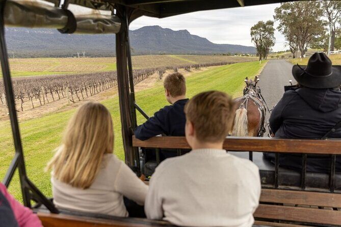 3- Hour Wine and Harvest the Hunter Horse Tour in Pokolbin - Who Is This Tour Perfect For?