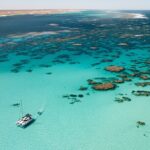 3 Night Ningaloo Reef Snorkel and Dive Getaway from Coral Bay - What Makes This Tour Special?