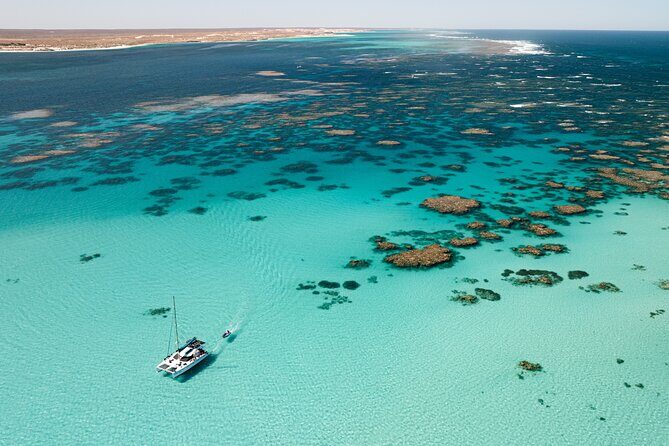 3 Night Ningaloo Reef Snorkel and Dive Getaway from Coral Bay - What Makes This Tour Special?